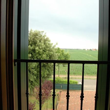 Terzo Bacino Bed & Breakfast San Michele al Tagliamento Eksteriør bilde